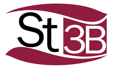 Logo ST3B